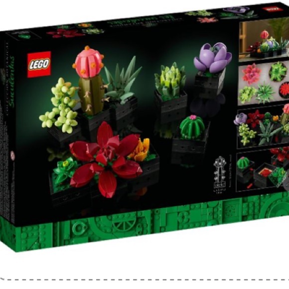 Lego Succulent Botanicals Collection - Picture 5 of 7